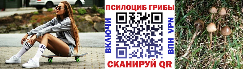 Галлюциногенные грибы мухоморы  кракен вход  Можайск  купить наркотики цена 